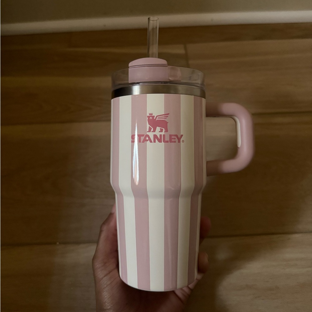 Stanley 20 oz Oasis (Pink Striped)